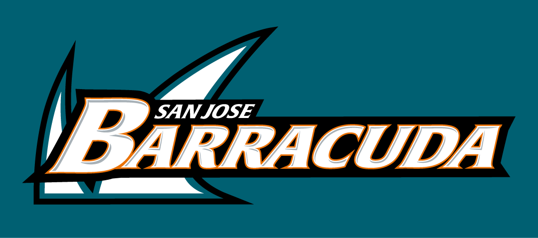 San Jose Barracuda 2015-2018 Wordmark Logo v2 iron on heat transfer